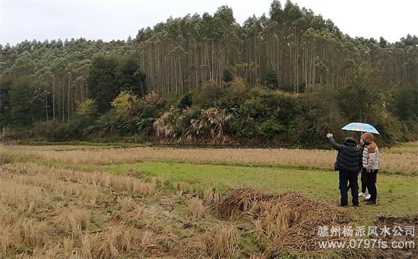 黄南藏族自治州陈老师带着爱徒寻龙点穴